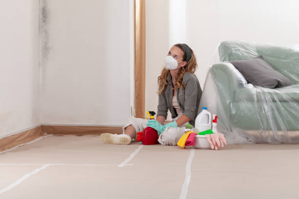 Reliable Commercial Mold Remediation contractor in Medford, NJ by Car Mold Remediation